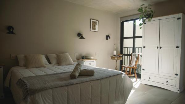 Ambar Posada Boutique, Prenota Locanda Mini-hotel a Maldonado, Locanda