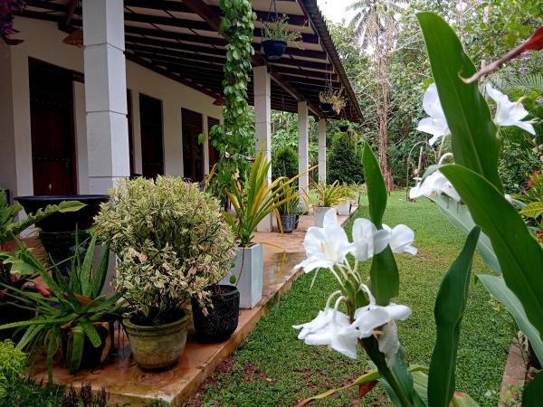 Cashew Villa Hiriketiya