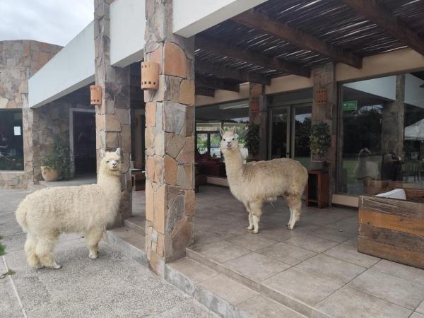 Hotel Limari