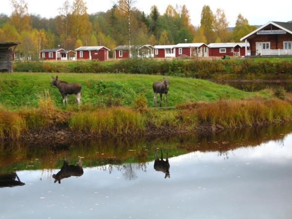 Klarälvens Camping, Prenota Campeggio Stöllet 