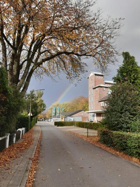 B&B Silogie