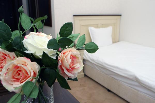 Hotel Par Avion, Reserva ahora Hotel Apriltsi Gabrovo