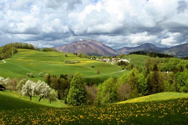 Tourist Farm Ljubica, Prenota Agriturismo Bohinjska Bistrica 