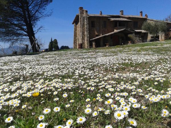 Agriturismo Le Roghete, Buchen Sie Bauernhof Latium Hotels mit Frühstück, Frühstück