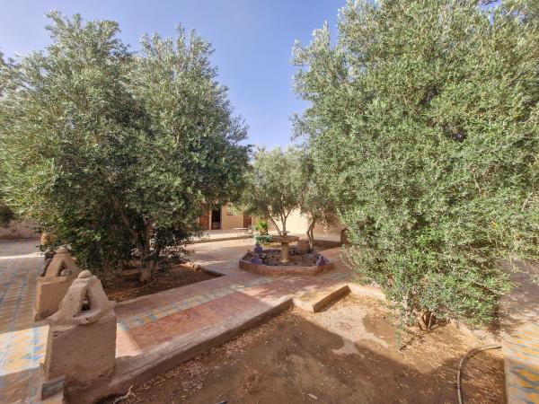Riad Akour