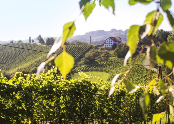 Weingut Peter Grill, Reserva ahora Bed & breakfast Hoteles en Estiria con aparcamiento, Aparcamiento