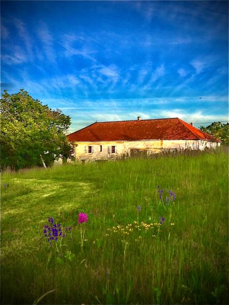 Le Bouyssou, Réserver Chambre d'hôtes Cazes-Mondenard Languedoc-Roussillon
