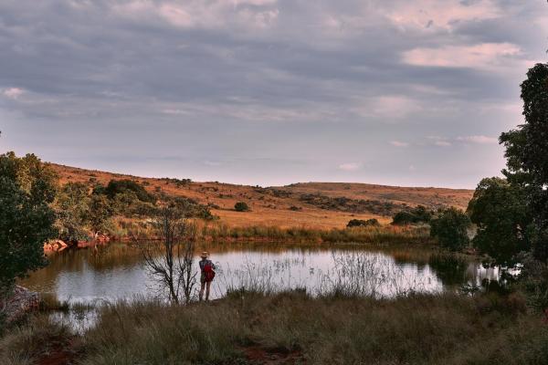 Bateleur Nature Reserve, Prenota Lodge Modimolle 