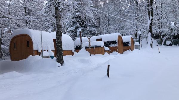 Campeggio il Bosco, Prenota Campeggio Hotel a Entracque con colazione, Colazione