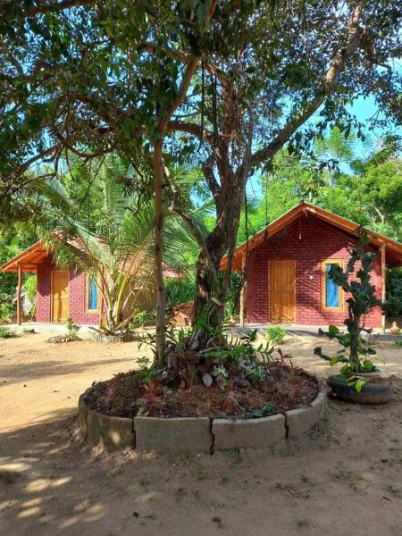Hotel Chanaya, Prenota Hotel Ambanpola Kurunegala District