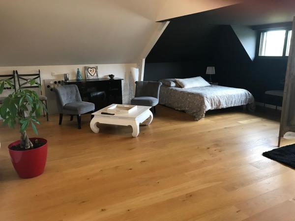Vaste Chambre Privée proche du Centre de Rennes, Réserver Chambre d'hôtes Rennes Région métropolitaine de Rennes