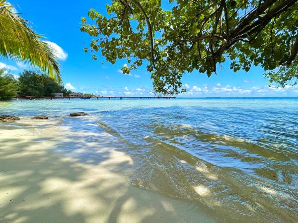 Turias Beach Villa, Reserva ahora Villa Maharepa Moorea