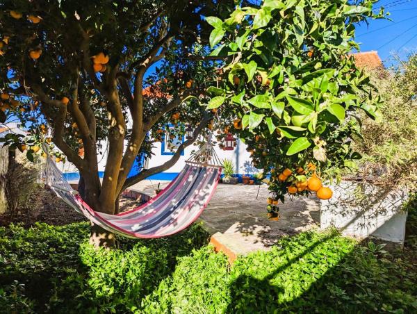 Cozy 3 BR Home - Close to Beach, Book Vacation Home Lourinhã 