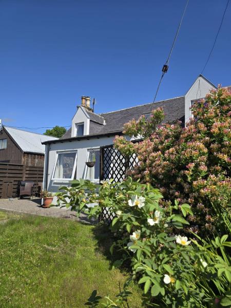Mikes 3-bedroom Countryside Cottage, Buchen Sie Ferienhaus  