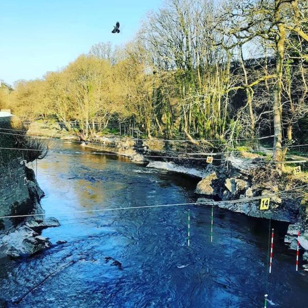Selah Teifi spectacular river view with games room, Buchen Sie Ferienhaus Llandysul 