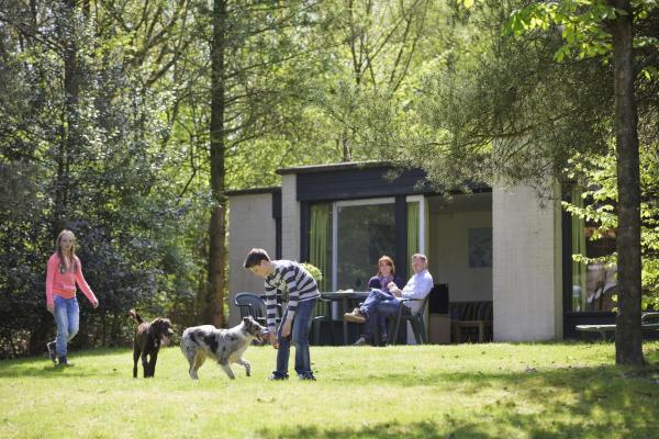 Center Parcs De Kempervennen Eindhoven, Prenota Appartamento Hotel a Noord-Brabant con piscina, Piscina