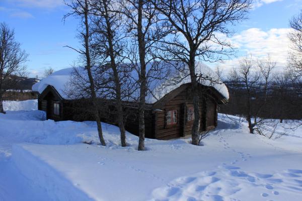 Solid and cozy cottage in a secluded location, Reserva ahora Casa o chalet Cabañas en Oppland, Cabaña