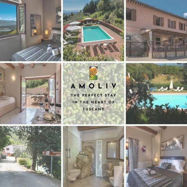 Amoliv, Buchen Sie Ferienhaus Hotels mit Pool in Arezzo, Schwimmbad