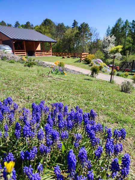 Roztocze, Domek Na Leśnym Wzgórzu nr2,Krasnobród,Zamość, Zwierzyniec, Réserver Maison de vacances Chalets à Roztocze, Cottage