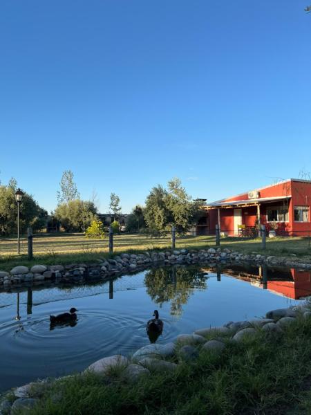 Finca La Calma, Prenota Casa vacanze Hotel con piscina a Mendoza, Piscina