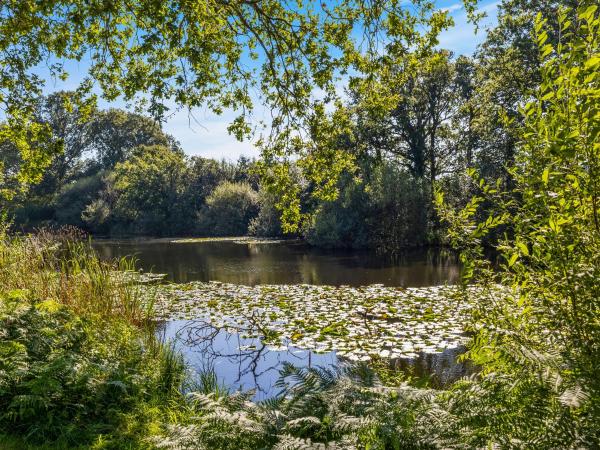 The Lodge At The Lake House, Prenota Casa vacanze Ifold West Sussex