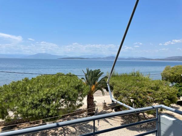 Finikas, Prenota Appartamento Hotel economici a Peloponneso