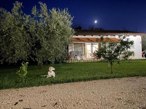 Villetta Bianca Pisticci-Matera, Buchen Sie Ferienhaus Villen in Pisticci, Villa