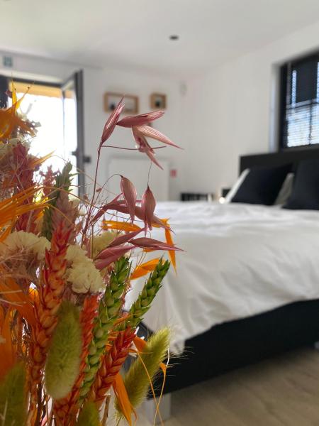 Damse Paveljoentje comfort en uitzicht in Damme, Buchen Sie Pension Damme 