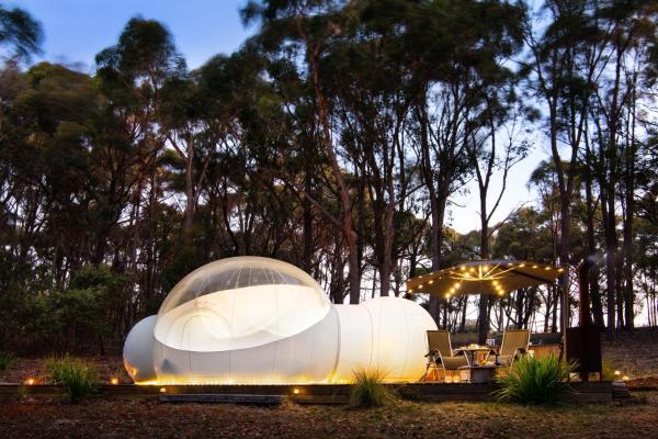 Skyview Bubbletent