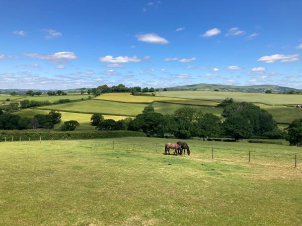 The Nest, Reserva ahora Casa o chalet Modbury Devon