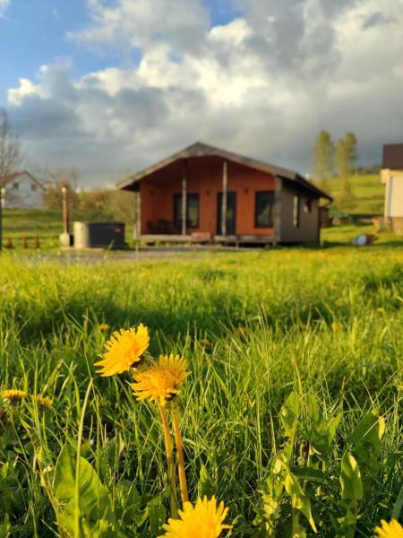 Family House Volosianka, Buchen Sie Ferienhaus Wolossjanka 