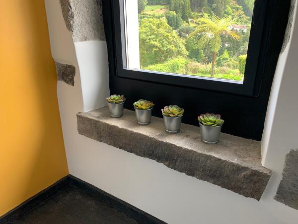 Chez Marie, Prenota Villa Furnas São Miguel