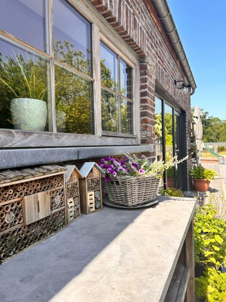 ‘t Vaerthuys, Prenota Casa vacanze Ville a Limburgo, Villa