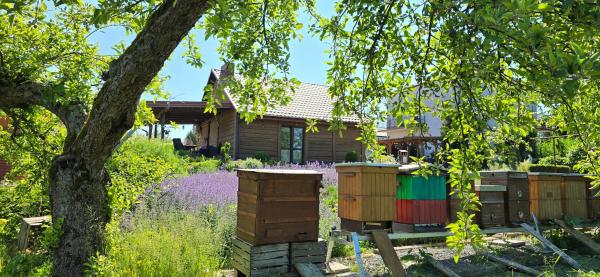 Agroturystyka u Joli, Buchen Sie Ferienhaus Pacanów Heiligkreuz