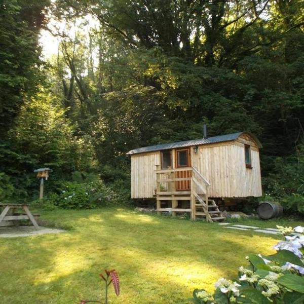 Morris the shepherds hut and woodland hot tub experience, Buchen Sie Zelt-Lodge Carmarthen 