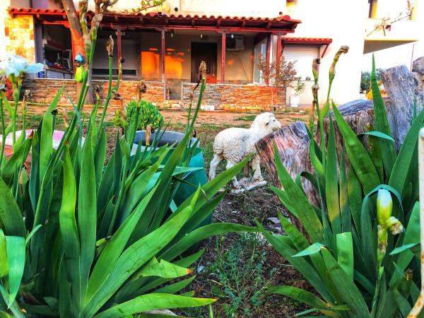 The Hillhouse near Alexandroupolis (1st floor), Prenota Appartamento Alessandropoli 