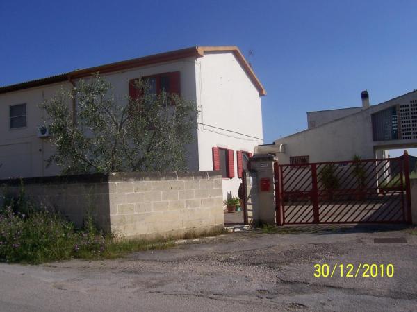 LUlivo
