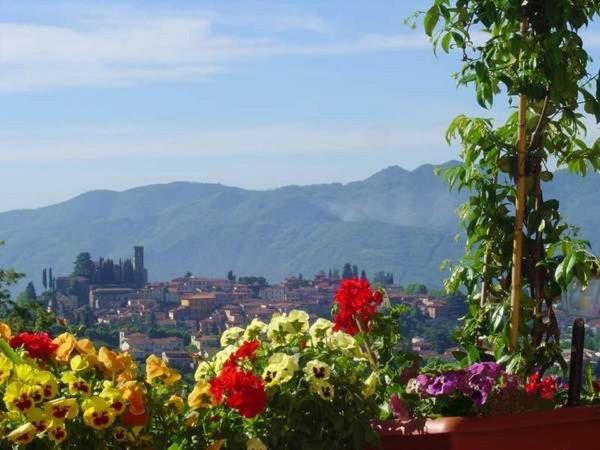 Il Trebbio, Prenota Casa vacanze Barga Garfagnana
