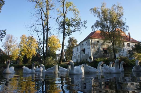 Piotrowice Nyskie Palace, Prenota Casa di campagna Hotel a Opolskie con piscina, Piscina