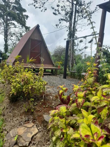 Chava Camping Rio Celeste, Prenota  Rio Celeste Alajuela