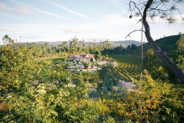 Quinta da Paixão - Bed & Breakfast, Book  Centro Hotels with a Pool, Swimming Pool