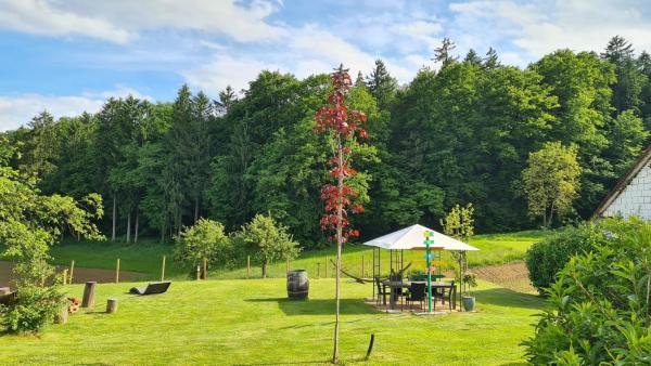 ❤Einzigartiges HOF-AREAL Südsteiermark❤, Prenota Agriturismo Sankt Nikolai im Sausal Southern Styria