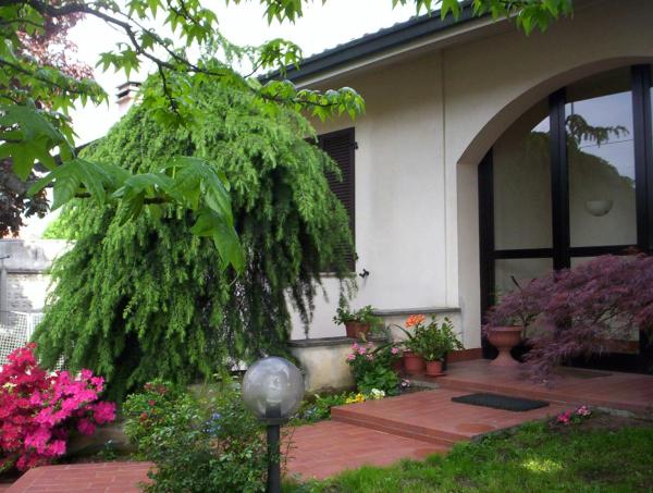 B&B Orchidea