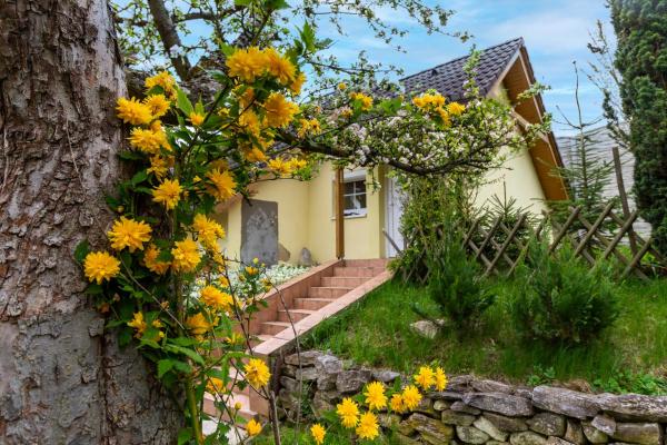 Apartmánový dům Vilémovice, Buchen Sie  Vilémovice Mährische Karst