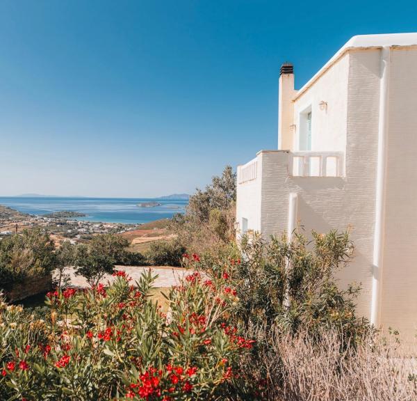 Villa Il Paradiso Andros, Prenota  Gavrio Andro
