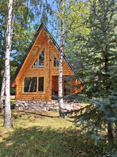 Forest Rhapsody Brezna, Prenota  Hotel a Pluzine County con parcheggio, Parcheggio