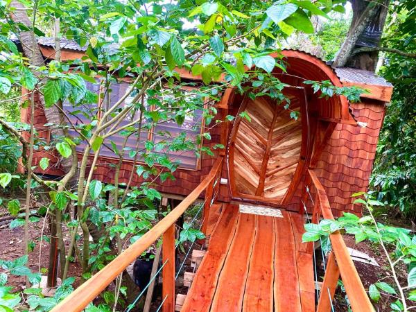 Tukulolo Treehouses, Réserver  Hôtels avec piscine à Tongatapu Island, Piscine