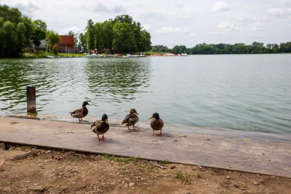 noclegi u zabki, Réserver  Hôtels pas chers à Warmia-Masuria
