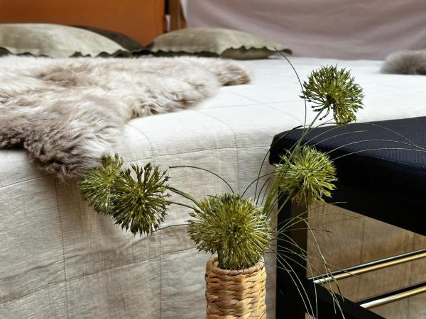 Romantic Luxus Glamping 3, Reserva ahora Camping Hoteles en Falster con aparcamiento, Aparcamiento