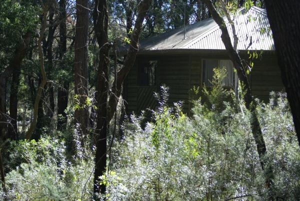 Twin Falls Bush Cottages, Reserva ahora Hostal o pensión Kangaroo Valley South Coast